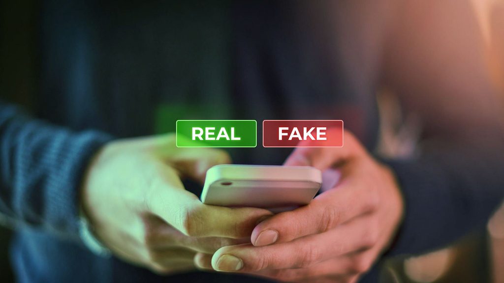 The guessing game that takes place deciding if something online is real or fake.